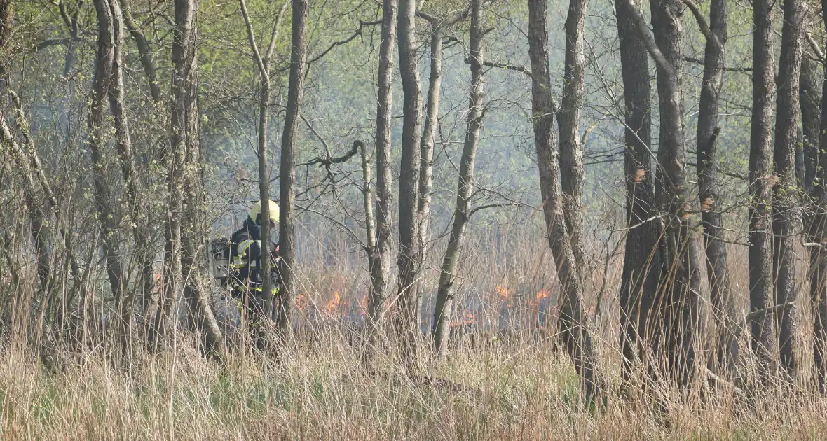 Boswachter ontdekt brand in natuurgebied - Foto 4