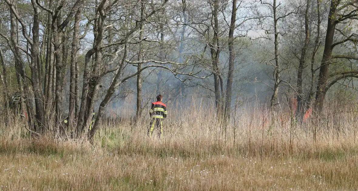 Boswachter ontdekt brand in natuurgebied - Foto 5