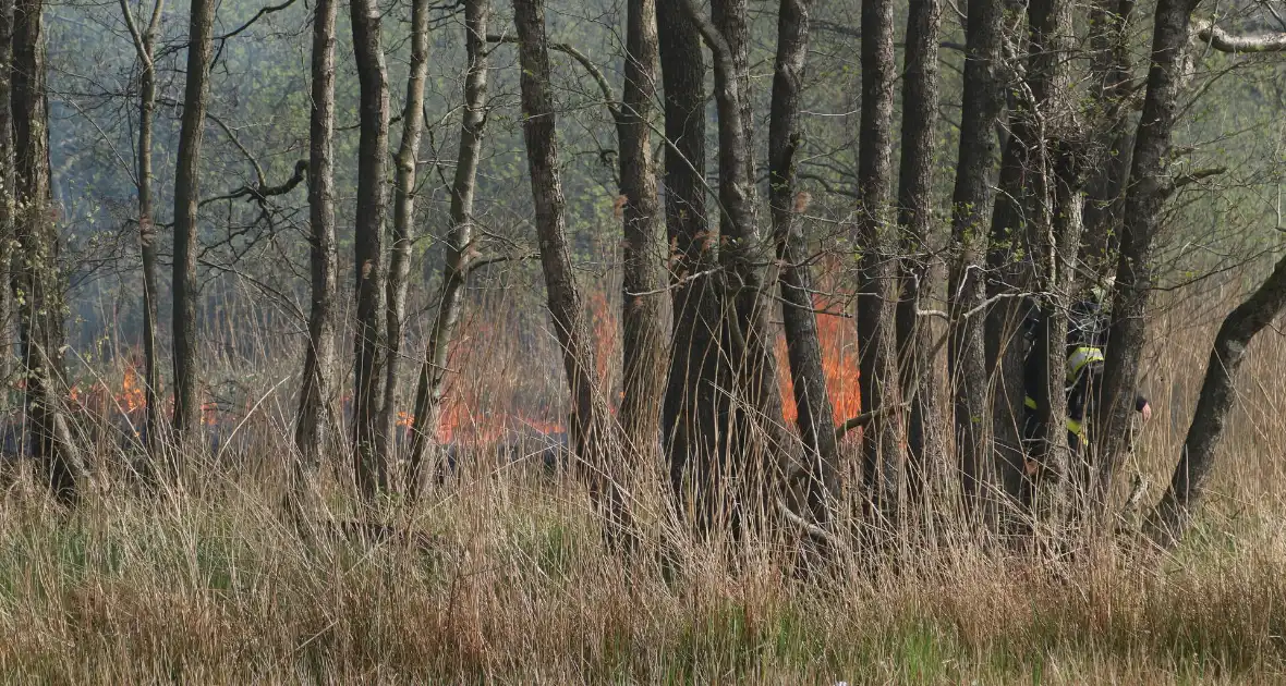 Boswachter ontdekt brand in natuurgebied - Foto 7