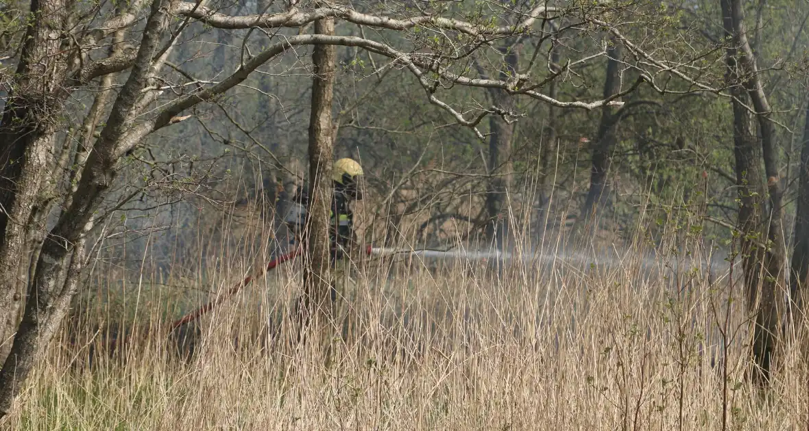 Boswachter ontdekt brand in natuurgebied - Foto 8