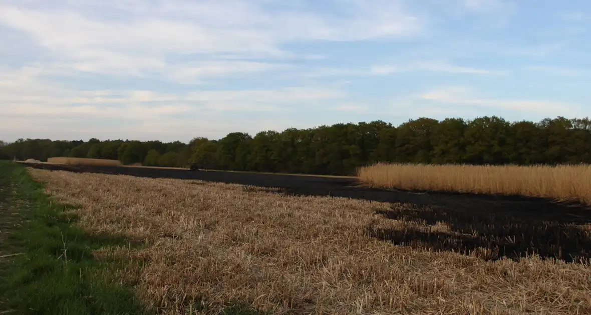 Graanveld grootdeel verwoest vanwege brand - Foto 2