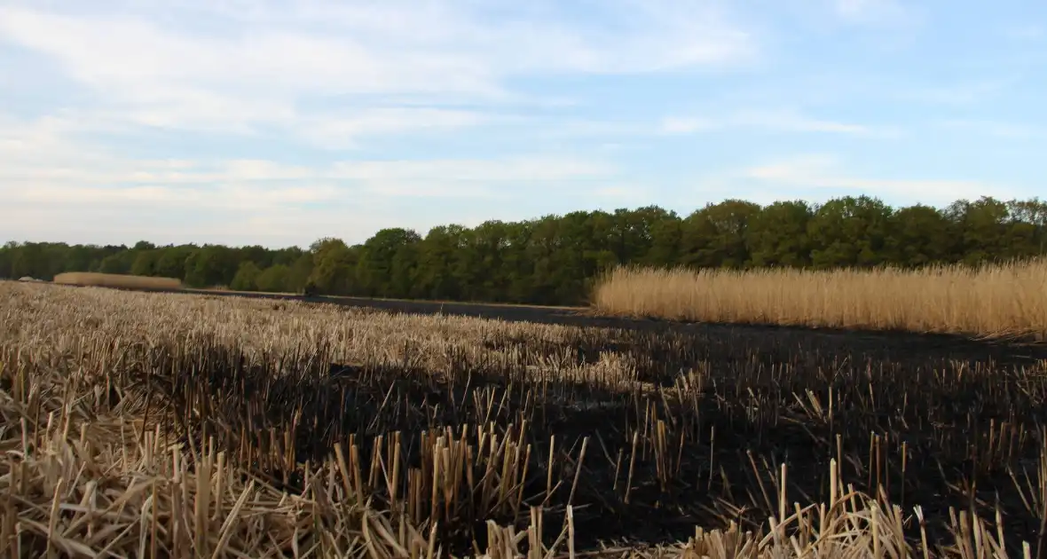 Graanveld grootdeel verwoest vanwege brand - Foto 4