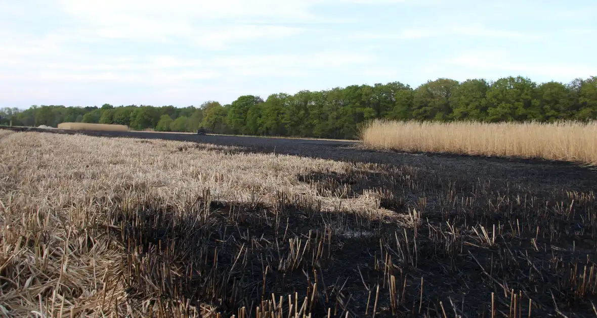 Graanveld grootdeel verwoest vanwege brand - Foto 5