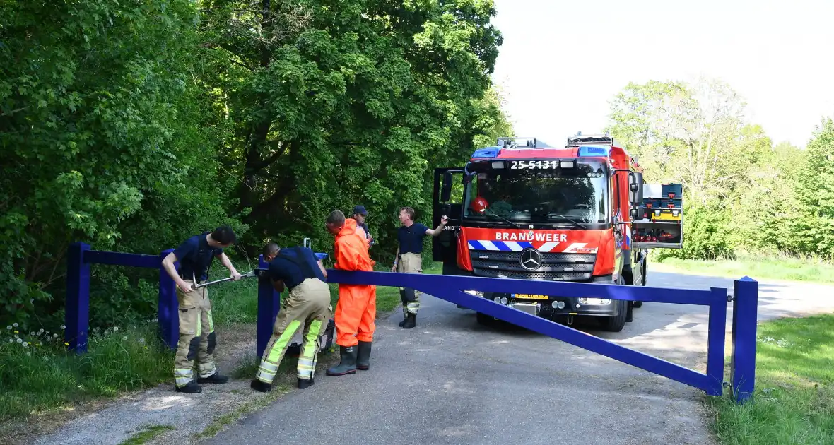 Brandweer druk met zoekgeraakte hond Dash - Foto 3