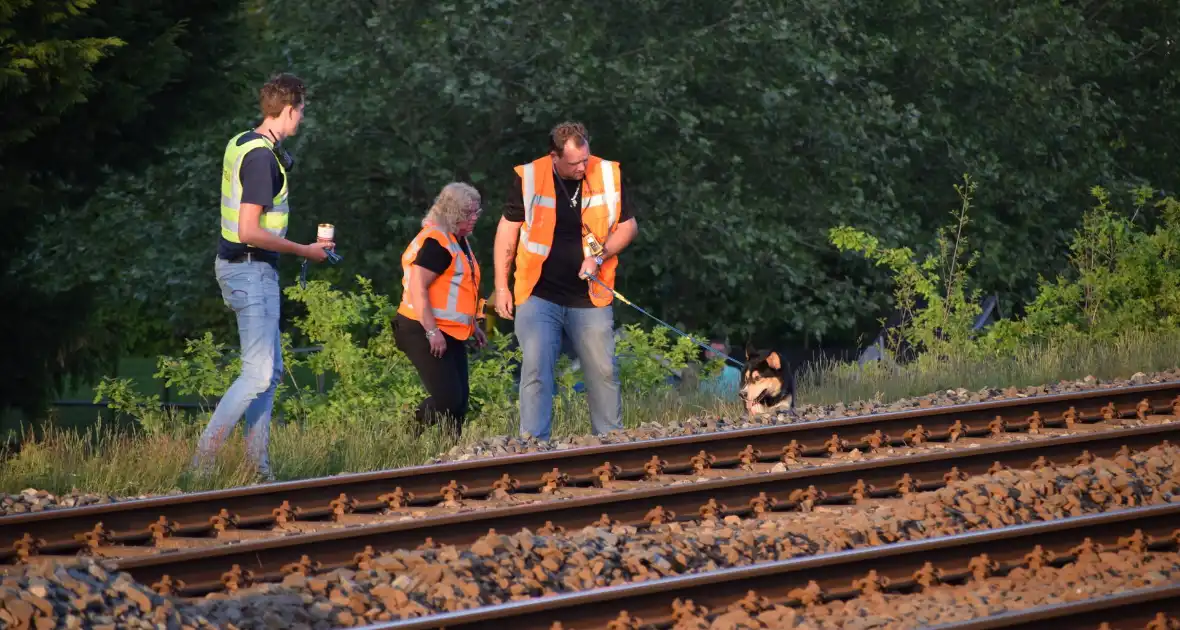 Reddingsactie vermiste hond zorgt voor vertraging treinen - Foto 10