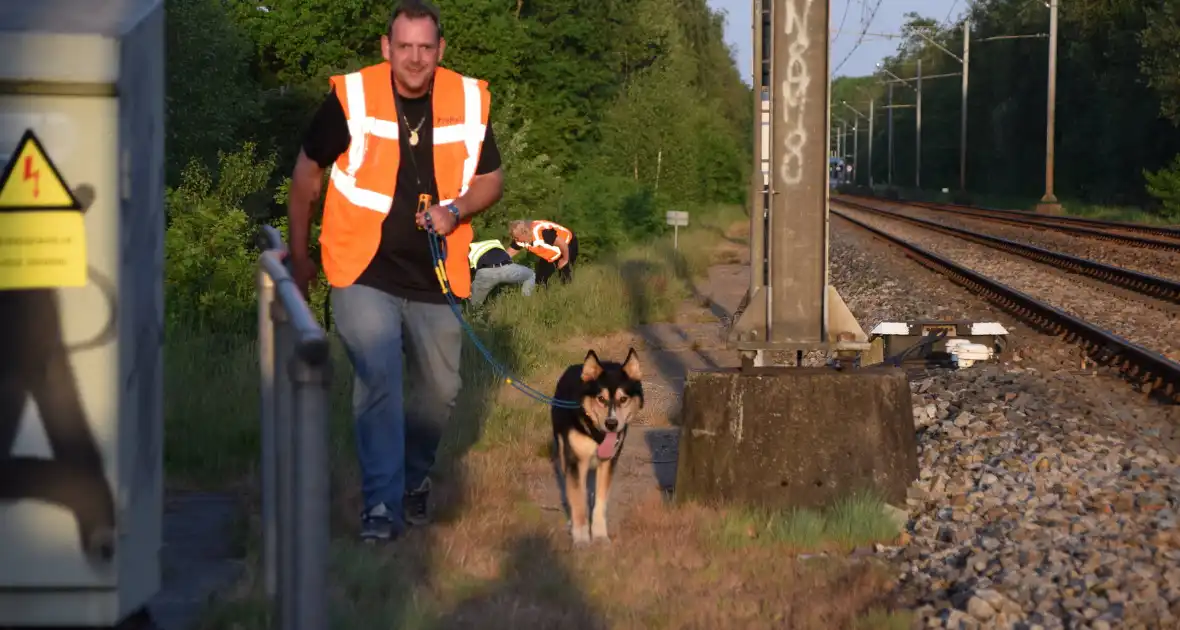 Reddingsactie vermiste hond zorgt voor vertraging treinen - Foto 13
