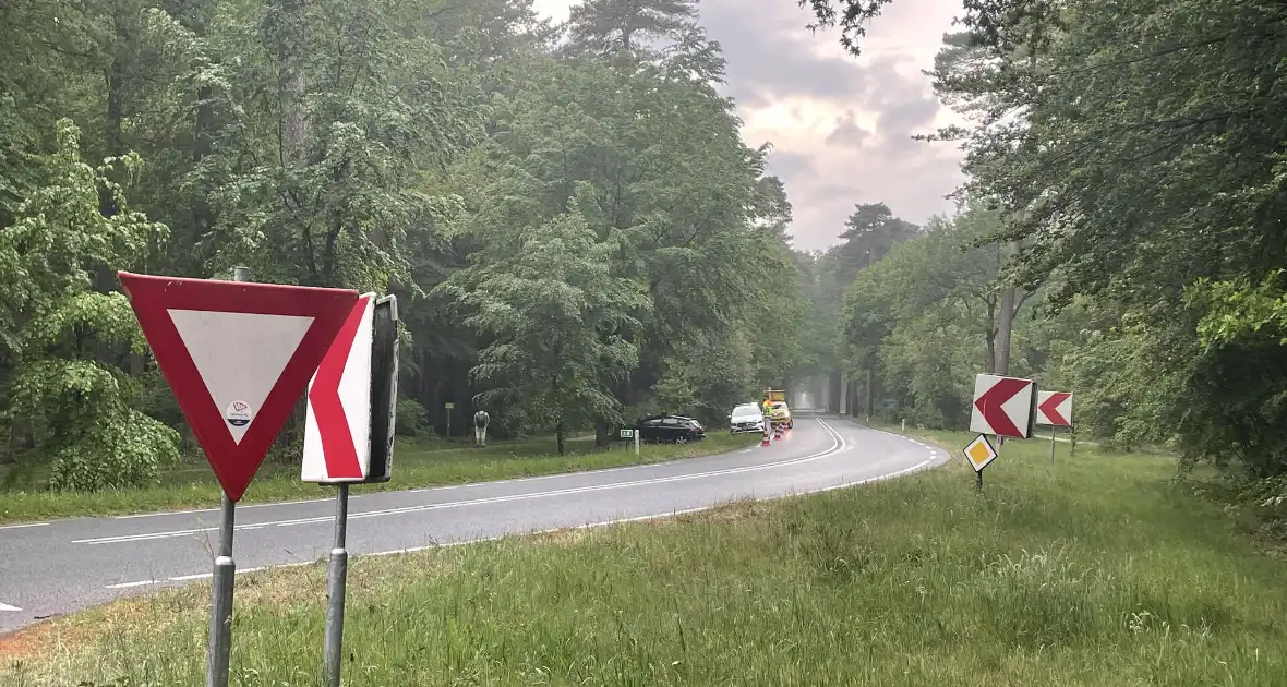 Veel schade bij voertuig tegen boom - Foto 3