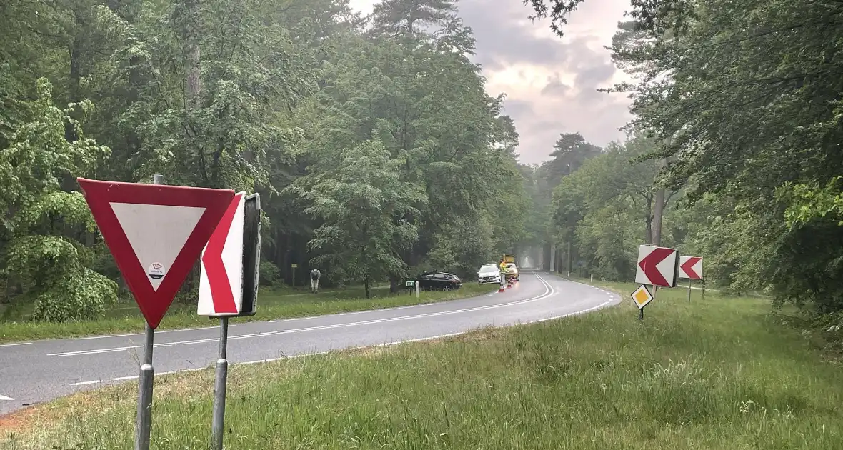 Veel schade bij voertuig tegen boom - Foto 7