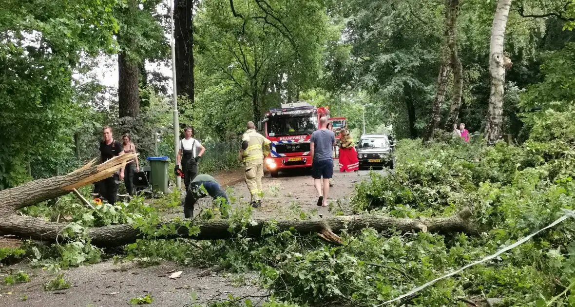 Grote boom waait over de weg - Foto 1