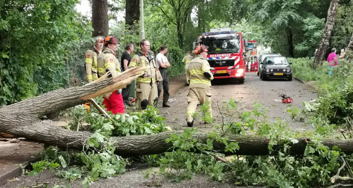 Grote boom waait over de weg - Foto 2