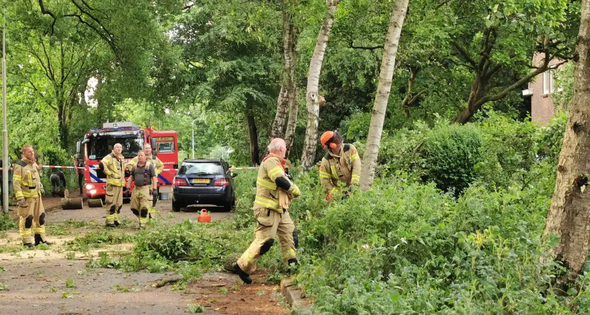 Grote boom waait over de weg - Foto 3