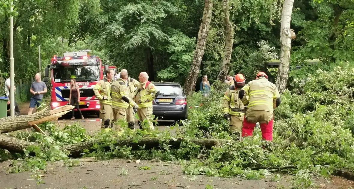 Grote boom waait over de weg - Foto 4