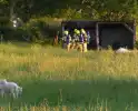 Brand in schuur voor schapen snel onder controle