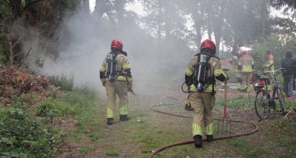 Veel rook bij brand in natuurgebied - Afbeelding 2