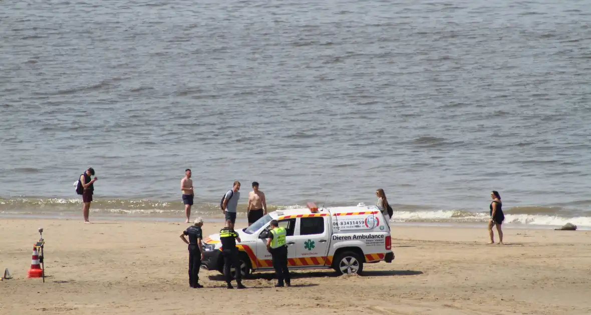 Ernstig gewonde bij ongeval strand - Foto 1