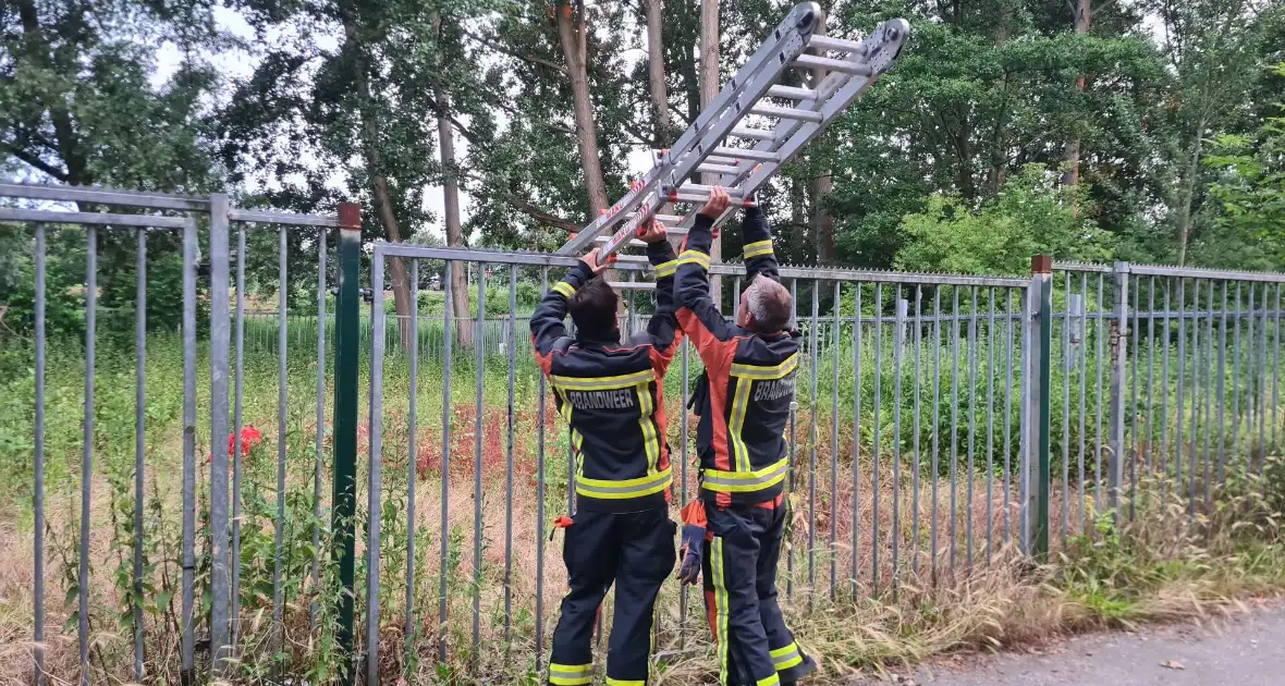 Sterke gaslucht in oud scouting gebouw - Foto 1