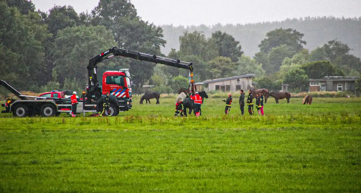 Paard met kraan uit sloot getakeld - Foto 2