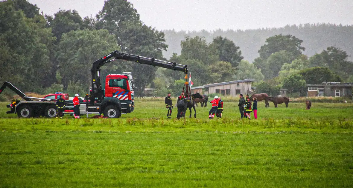 Paard met kraan uit sloot getakeld - Foto 4