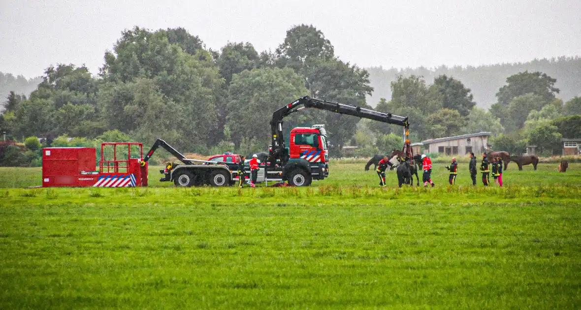 Paard met kraan uit sloot getakeld - Foto 5