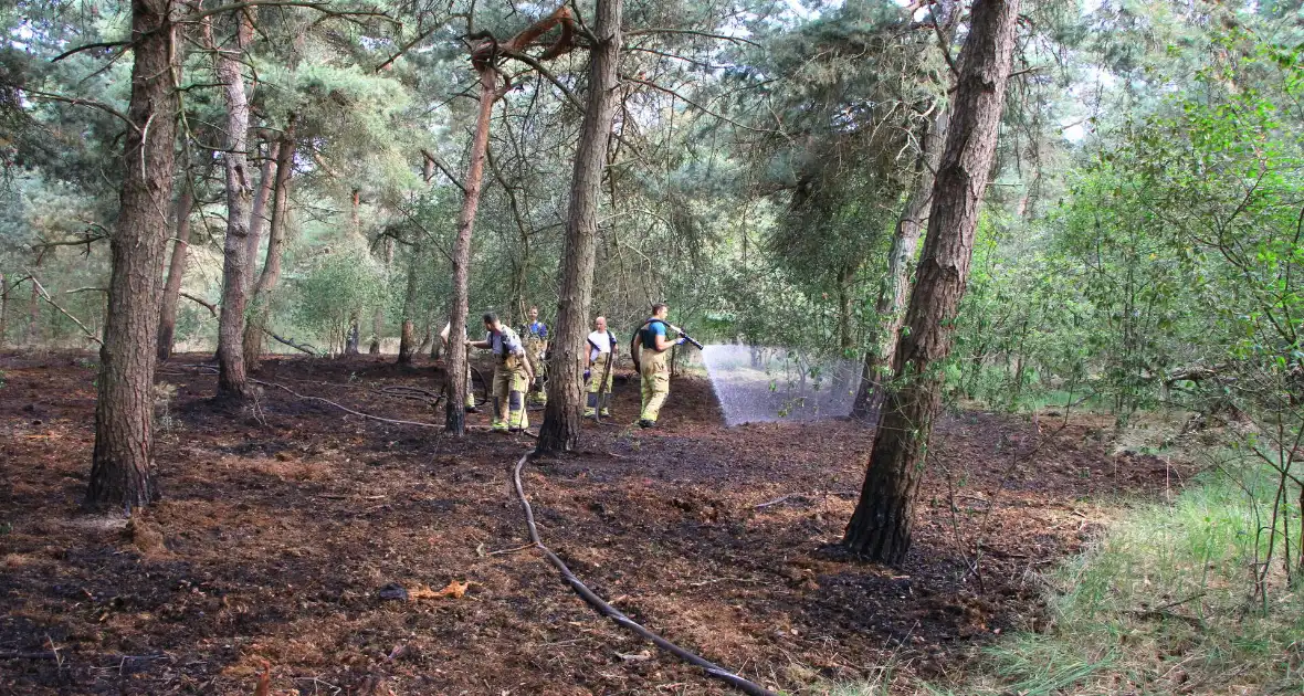 Brand in bosgebied opnieuw geblust - Foto 10
