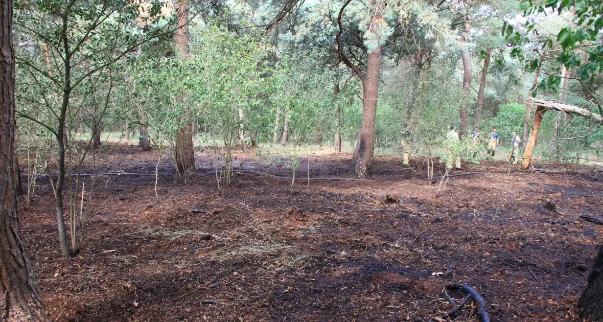 Brand in bosgebied opnieuw geblust - Foto 3