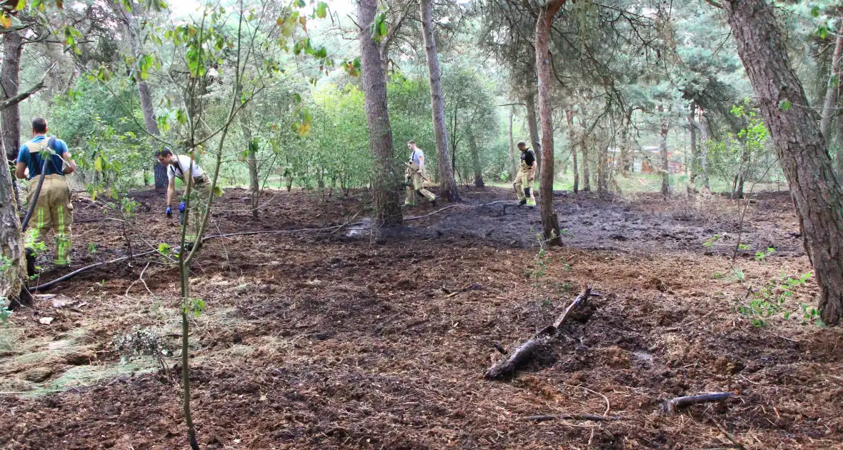 Brand in bosgebied opnieuw geblust - Foto 4