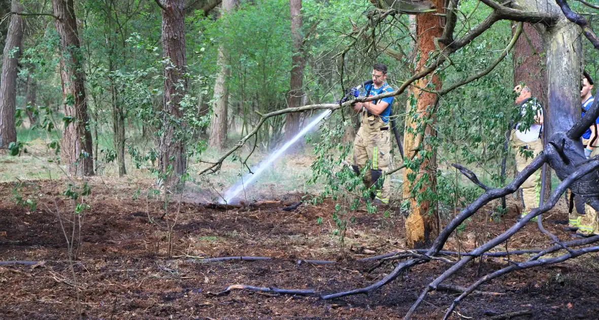 Brand in bosgebied opnieuw geblust - Foto 6