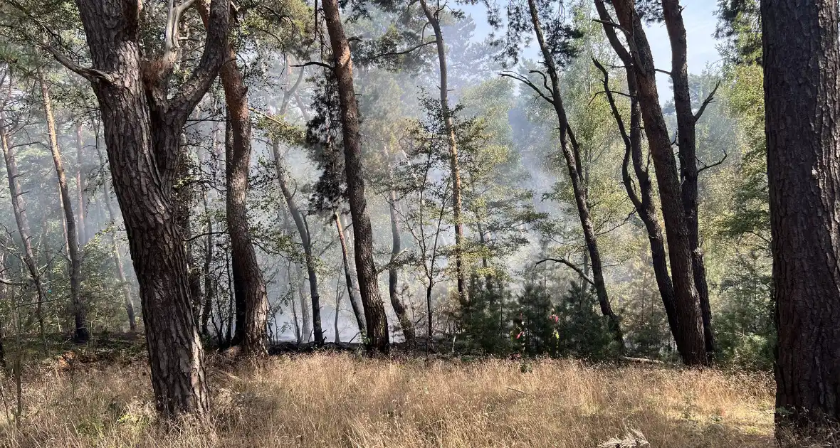 Flinke natuurbranden op de Brunssummerheide - Foto 6