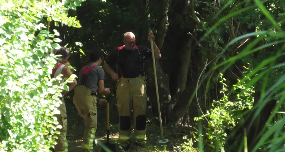 Brand op wandelpad in natuurgebied snel gedoofd - Foto 1