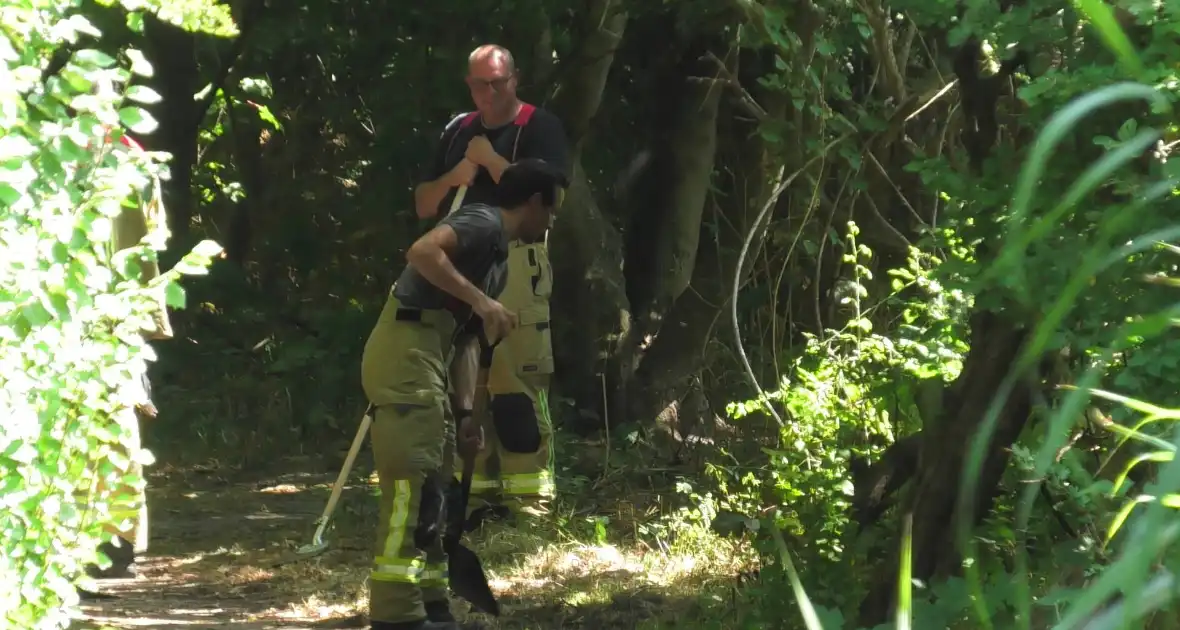 Brand op wandelpad in natuurgebied snel gedoofd - Foto 3