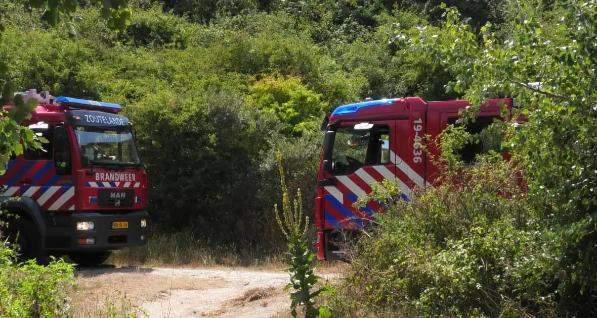 Brand op wandelpad in natuurgebied snel gedoofd - Foto 4